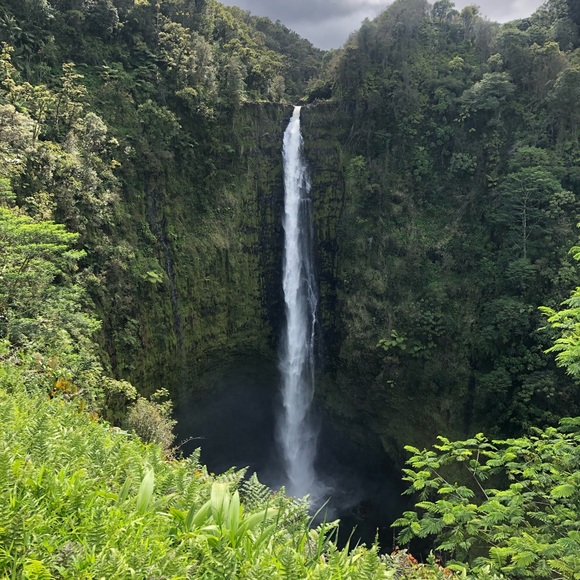 Meet your Personal Shopper! Posher, Ana - Picture 10 of 16